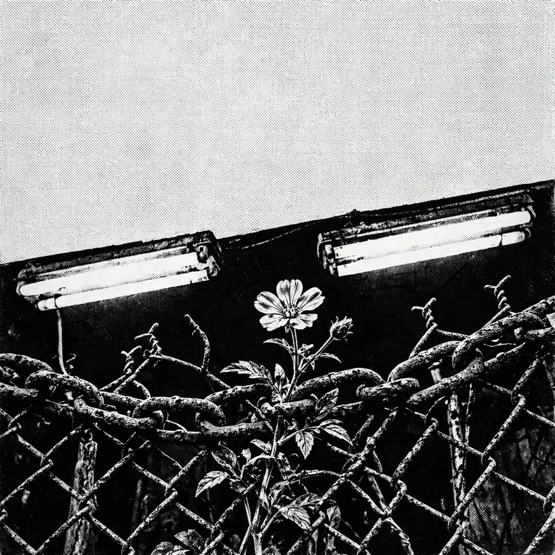 Iron Bloom