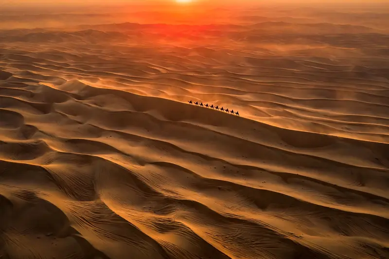 Dune Sea Sunset