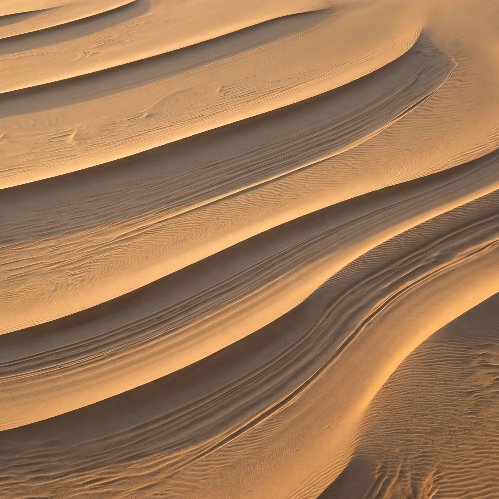 Desert Dune Lines
