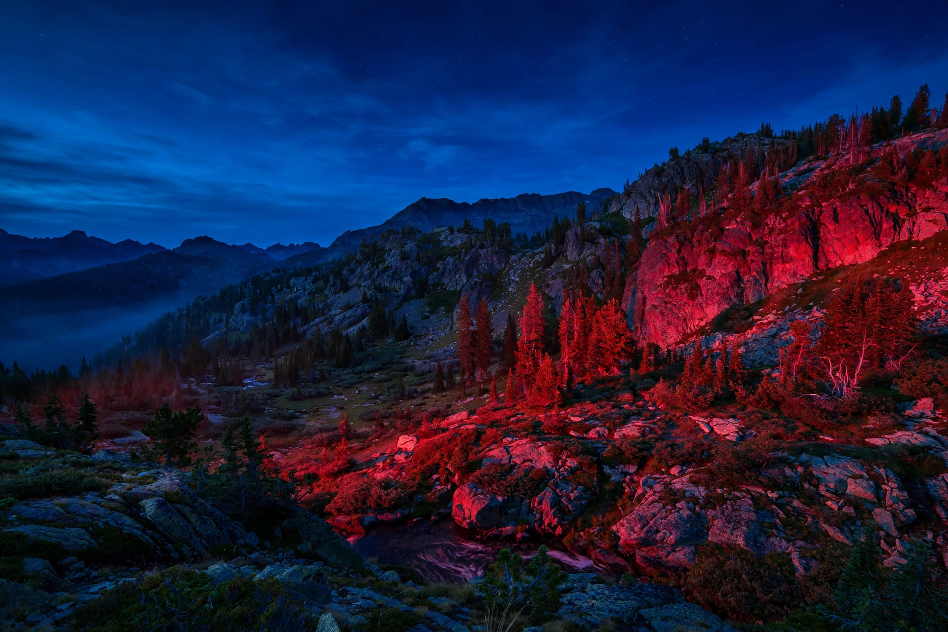 Ruby Glow Wilderness